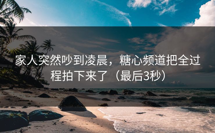 家人突然吵到凌晨，糖心频道把全过程拍下来了（最后3秒）