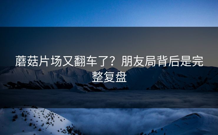 蘑菇片场又翻车了？朋友局背后是完整复盘