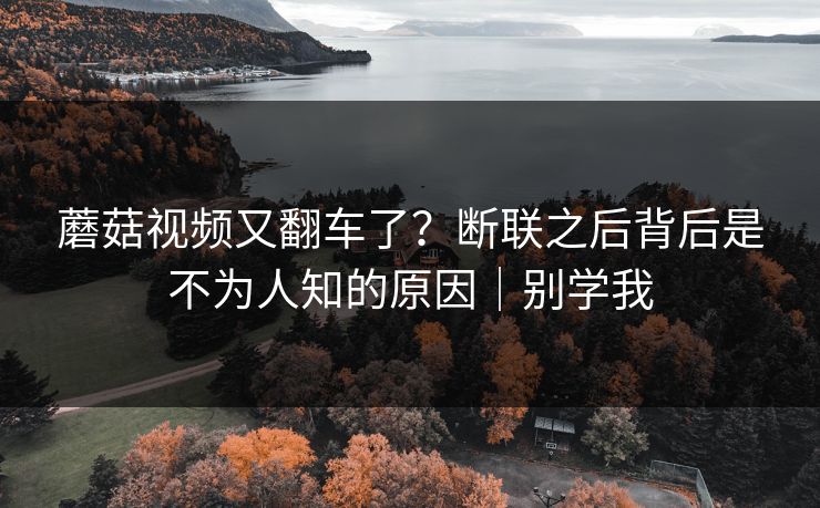 蘑菇视频又翻车了？断联之后背后是不为人知的原因｜别学我